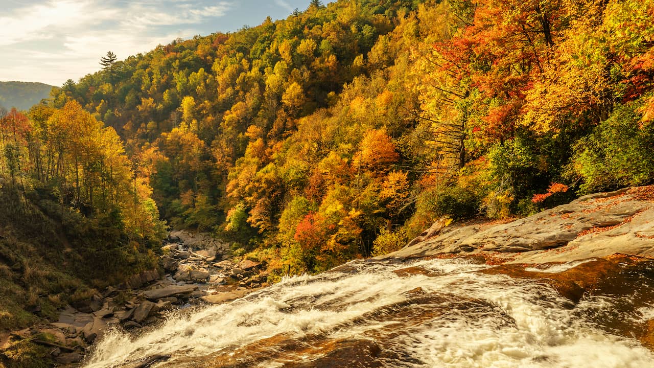 shutterstock_1086191012.jpg shutterstock_1086191012.jpg