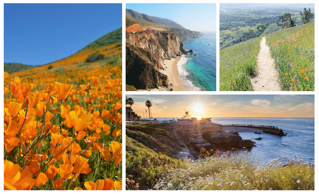 Cruise-America-Photo-Collage_b.jpg Cruise-America-Photo-Collage_b.jpg