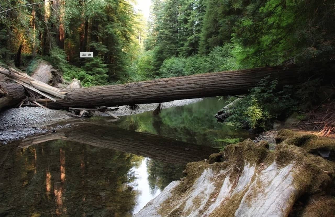 Best-RV-Campgrounds-in-Northern-California-2.jpg Humboldt Redwoods/Hidden Springs