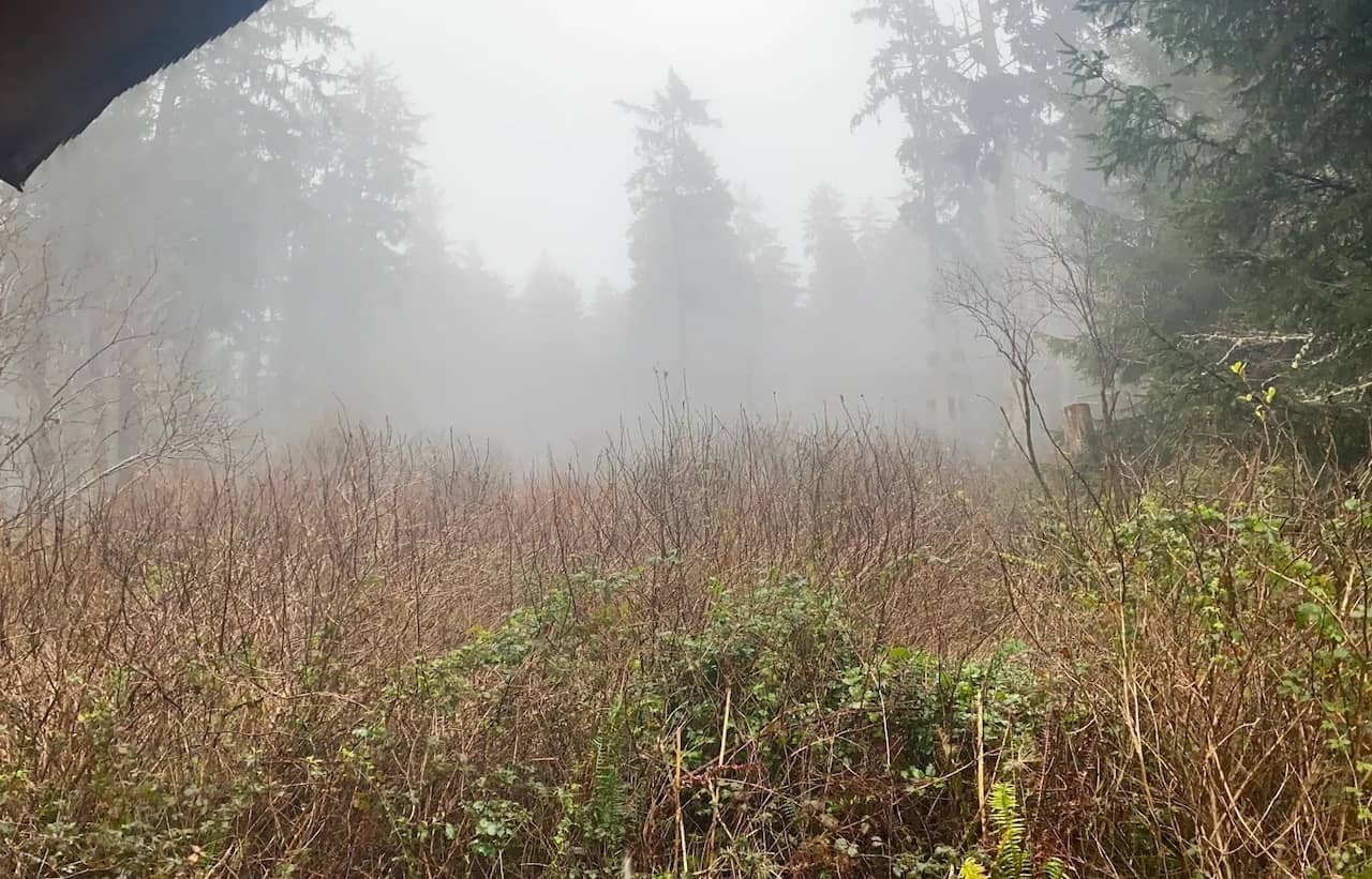 Best-RV-Campgrounds-in-Northern-California-6.jpg Patricks Point