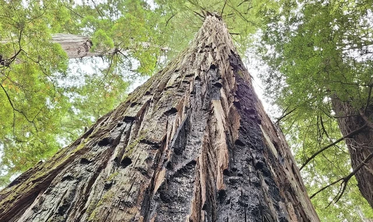 Best-RV-Campgrounds-in-Northern-California.jpg Albee Creek Camp