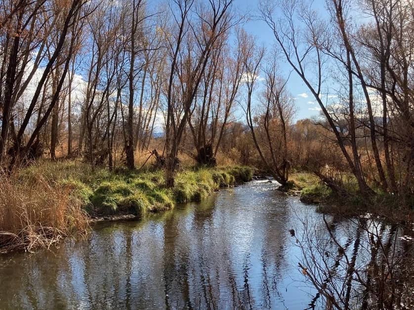 10-Best-RV-Campgrounds-in-Arizona-4.jpg Dead Horse Ranch State Park