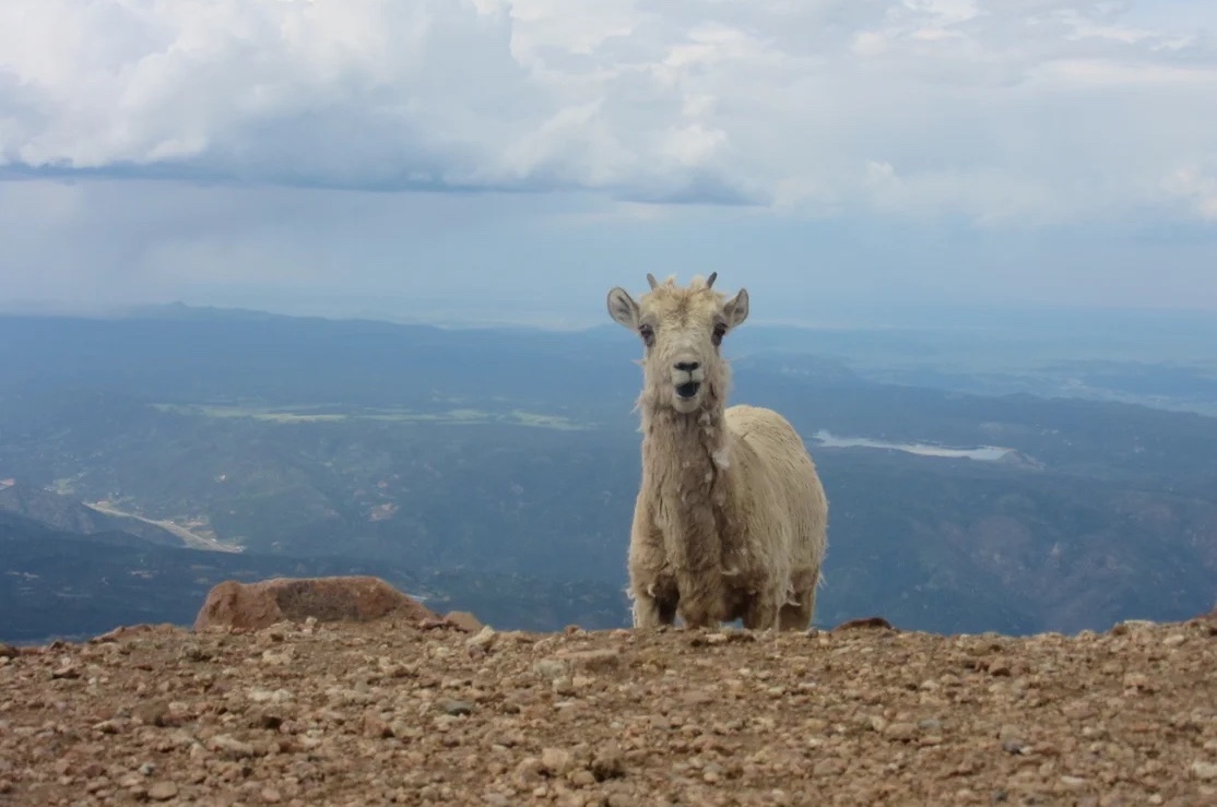 Best-RV-Campgrounds-in-Colorado-7.jpg Chatfield State Park