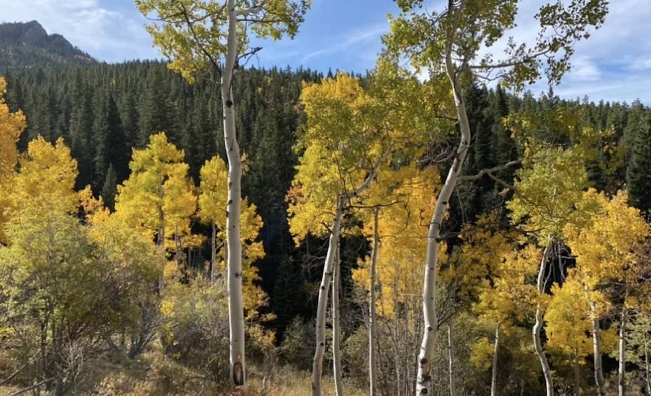 Best-RV-Campgrounds-in-Colorado-8.jpg Golden Gate Canyon