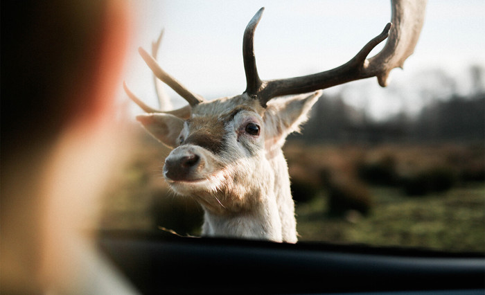 cruise-america-rv-rental-seattle-drives-4.jpg cruise-america-rv-rental-seattle-drives-4.jpg