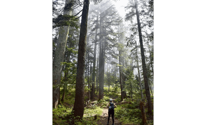 cruise-america-rv-rental-seattle-drives-5.png cruise-america-rv-rental-seattle-drives-5.png