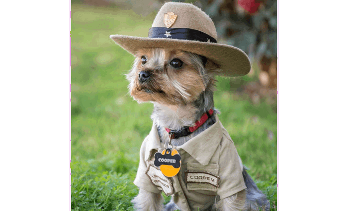 cruise-america-rv-rental-dog-friendly-parks-5.png cruise-america-rv-rental-dog-friendly-parks-5.png