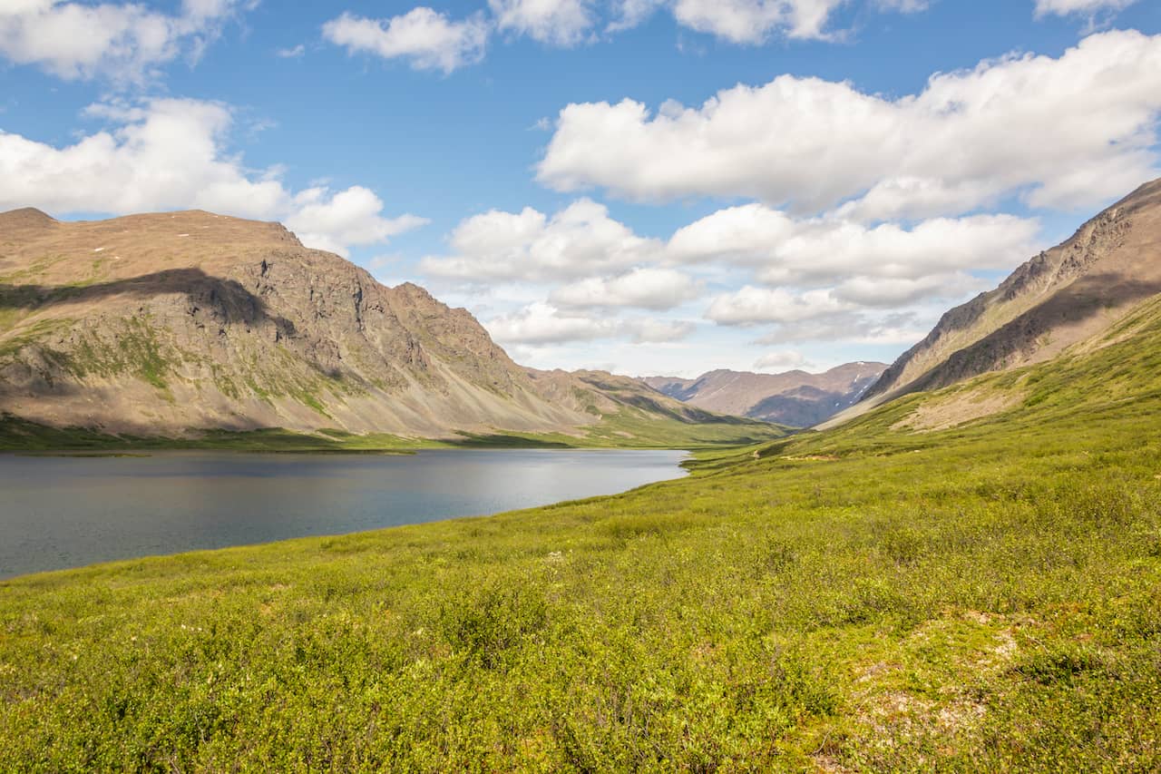 shutterstock_1174624078.jpg shutterstock_1174624078.jpg