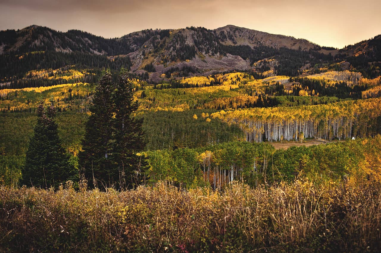 shutterstock_1163082187-2.jpg Dutchman Flat