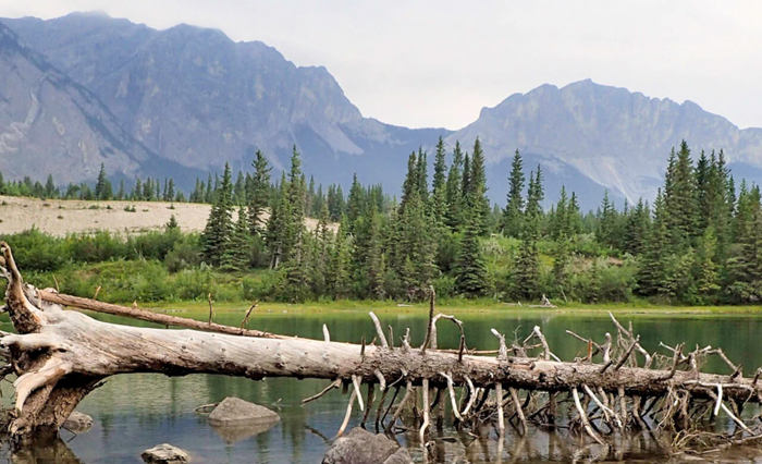 cruise-america-rv-rental-rv-parks-3.jpg cruise-america-rv-rental-rv-parks-3.jpg