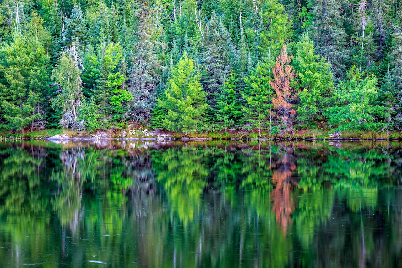 shutterstock_733065229-2.jpg shutterstock_733065229-2.jpg