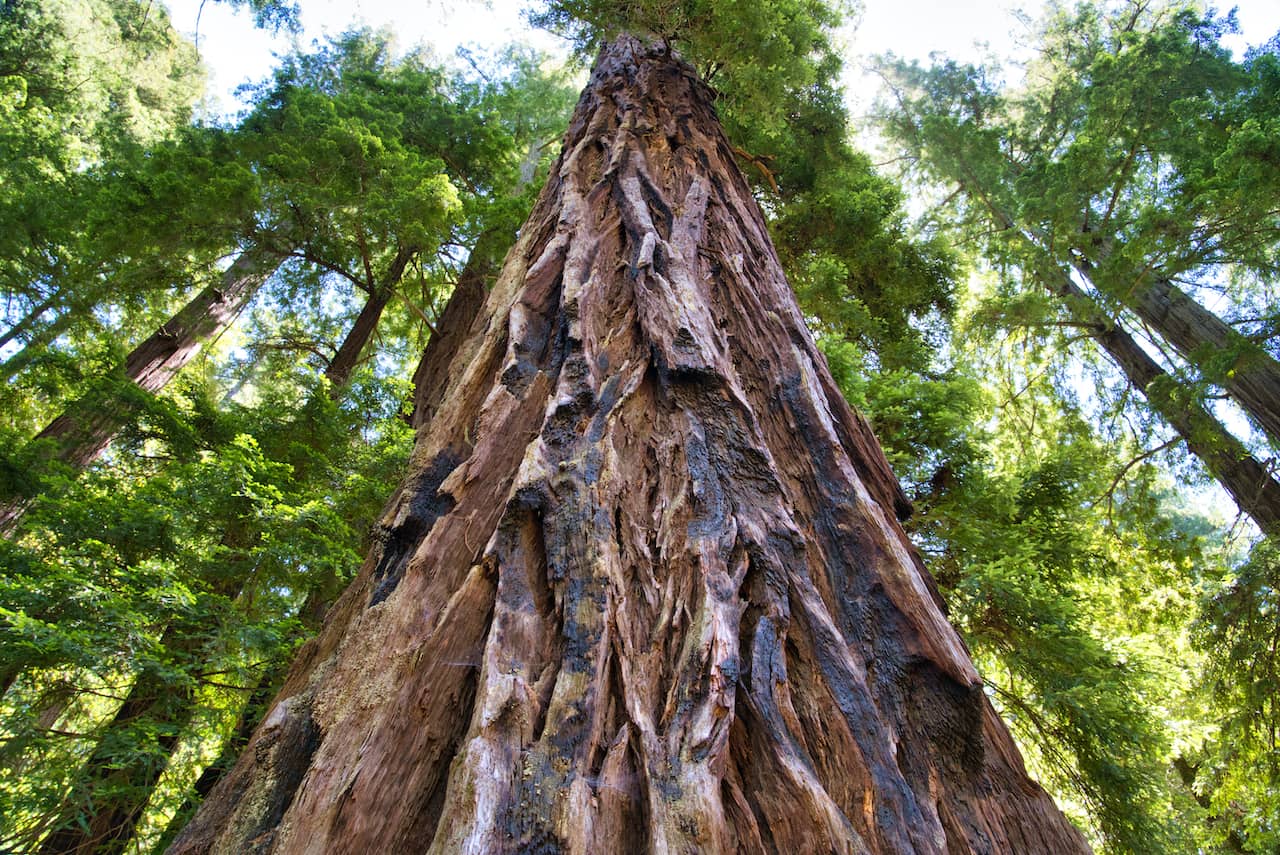 shutterstock_1759656119-2.jpg shutterstock_1759656119-2.jpg