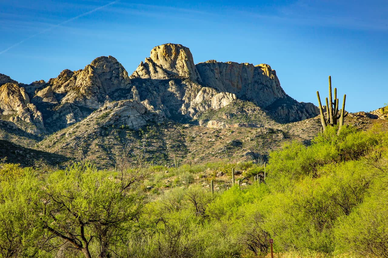 shutterstock_1377718358-2.jpg shutterstock_1377718358-2.jpg