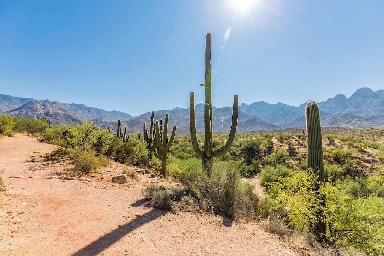 shutterstock_1835374963-2.jpg shutterstock_1835374963-2.jpg