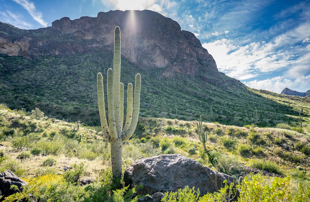 shutterstock_1889818558-2.jpg shutterstock_1889818558-2.jpg