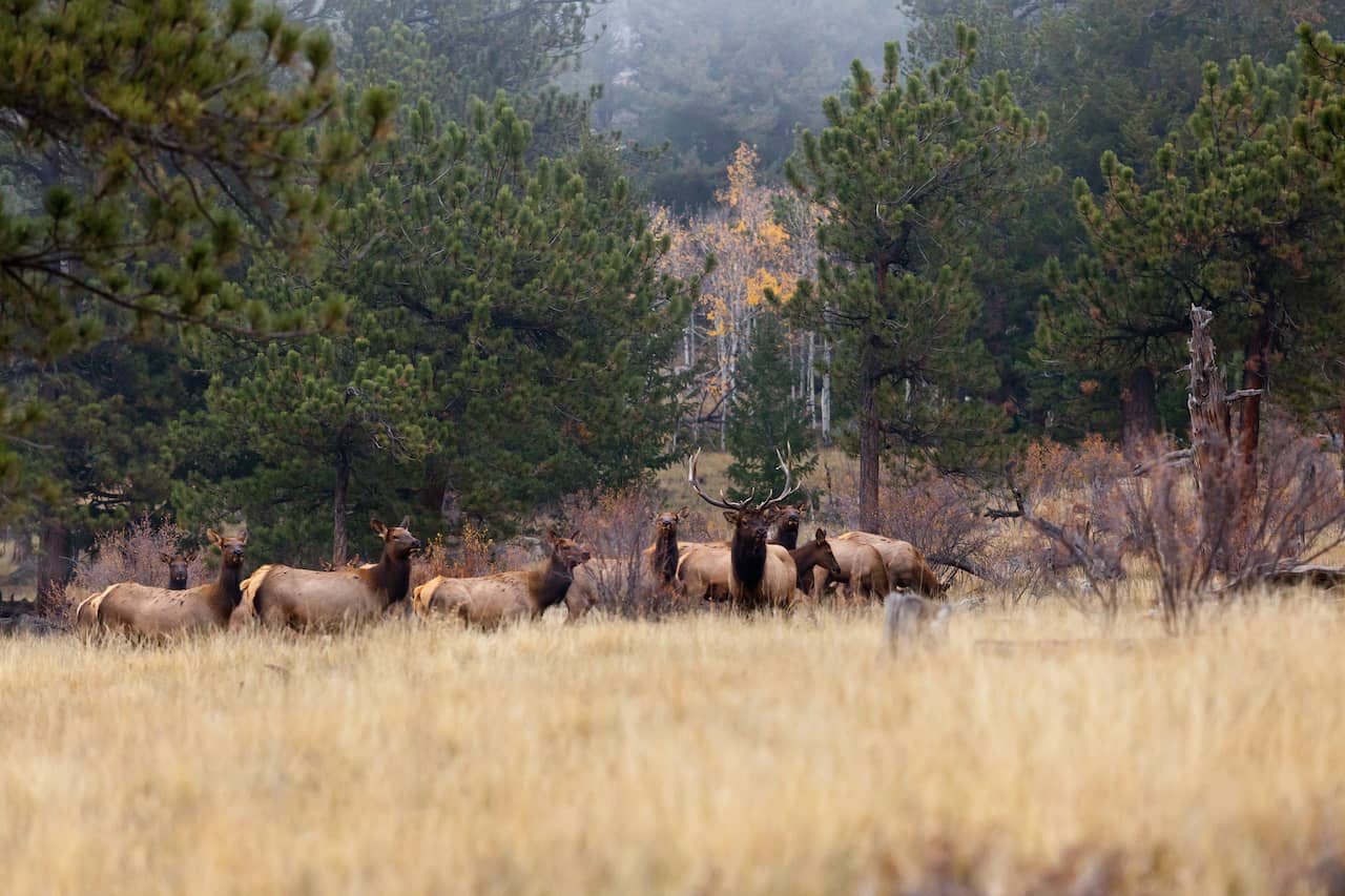 shutterstock_157172153-2.jpg shutterstock_157172153-2.jpg