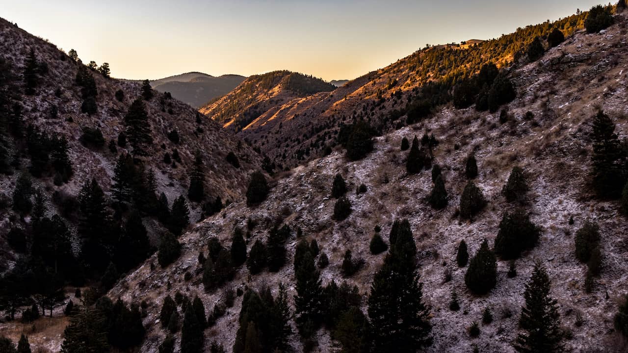 shutterstock_1582856788-2.jpg shutterstock_1582856788-2.jpg