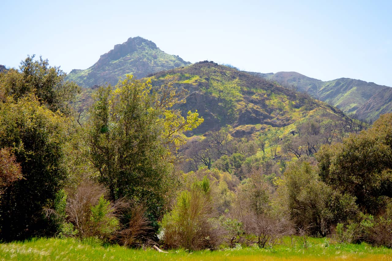 shutterstock_1374180962-2.jpg shutterstock_1374180962-2.jpg