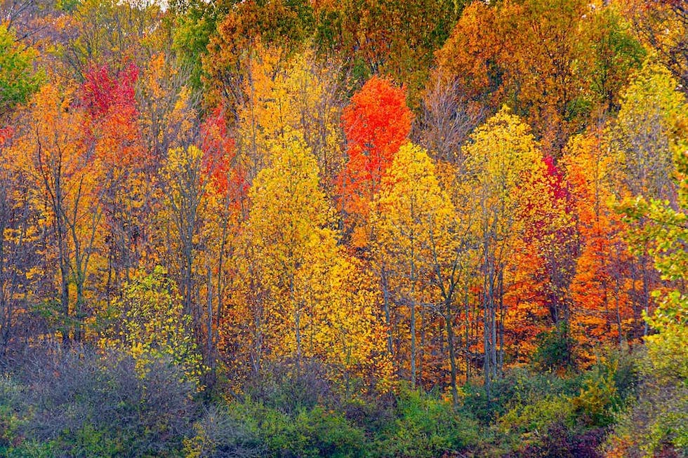 mounds-state-park-rv-camping.jpg mounds-state-park-rv-camping.jpg