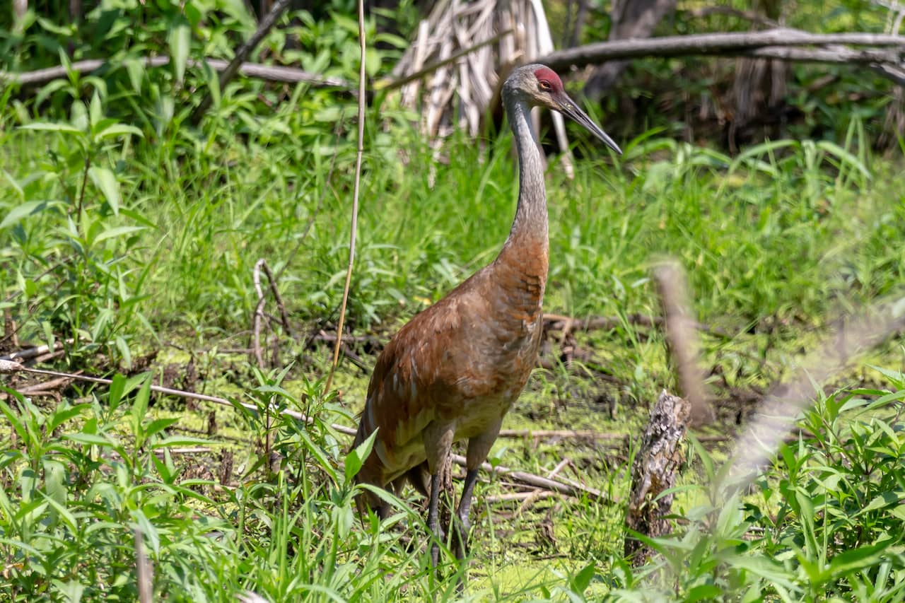 mounds-state-park-rv.jpg mounds-state-park-rv.jpg