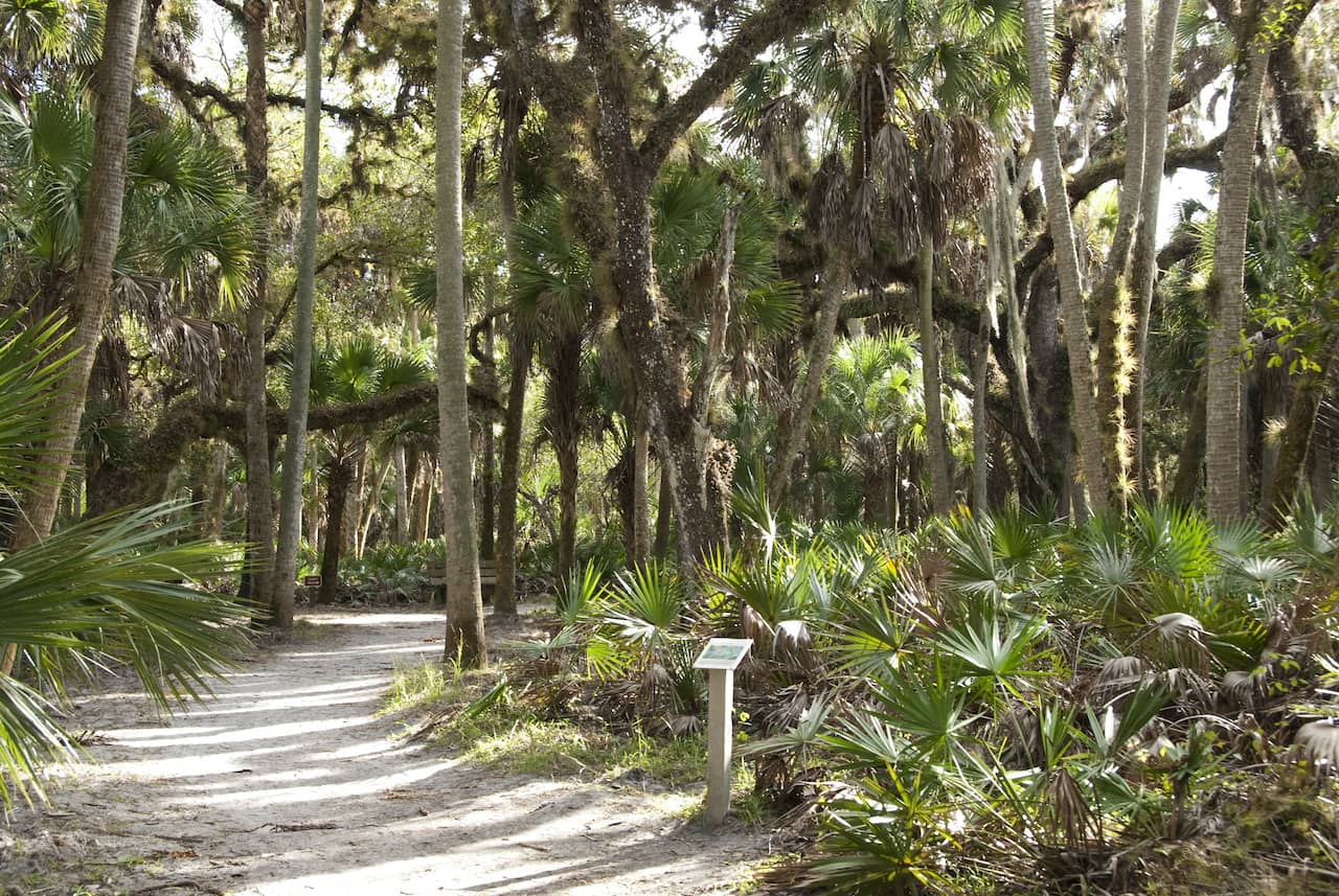 shutterstock_91682921-2.jpg shutterstock_91682921-2.jpg