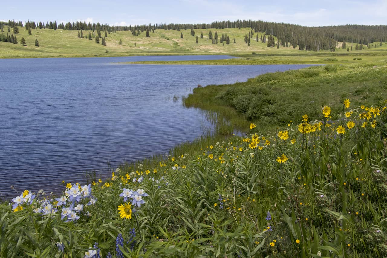 shutterstock_456751864-2.jpg shutterstock_456751864-2.jpg