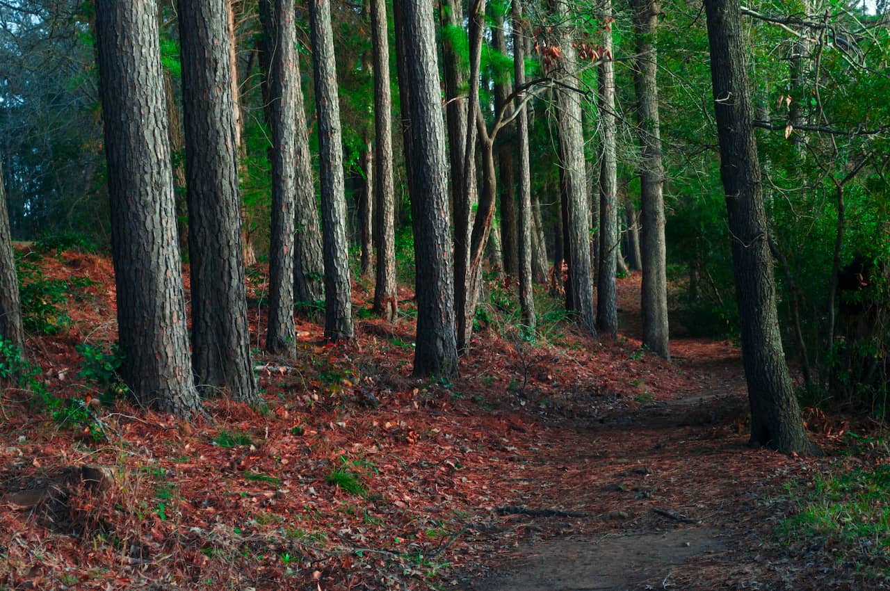 shutterstock_1434120806.jpg shutterstock_1434120806.jpg