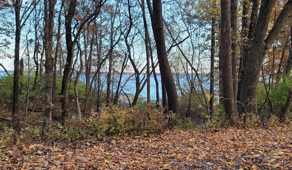 Best-RV-Campgrounds-in-Illinois-2.jpg Eldon Hazlet State Recreation Area