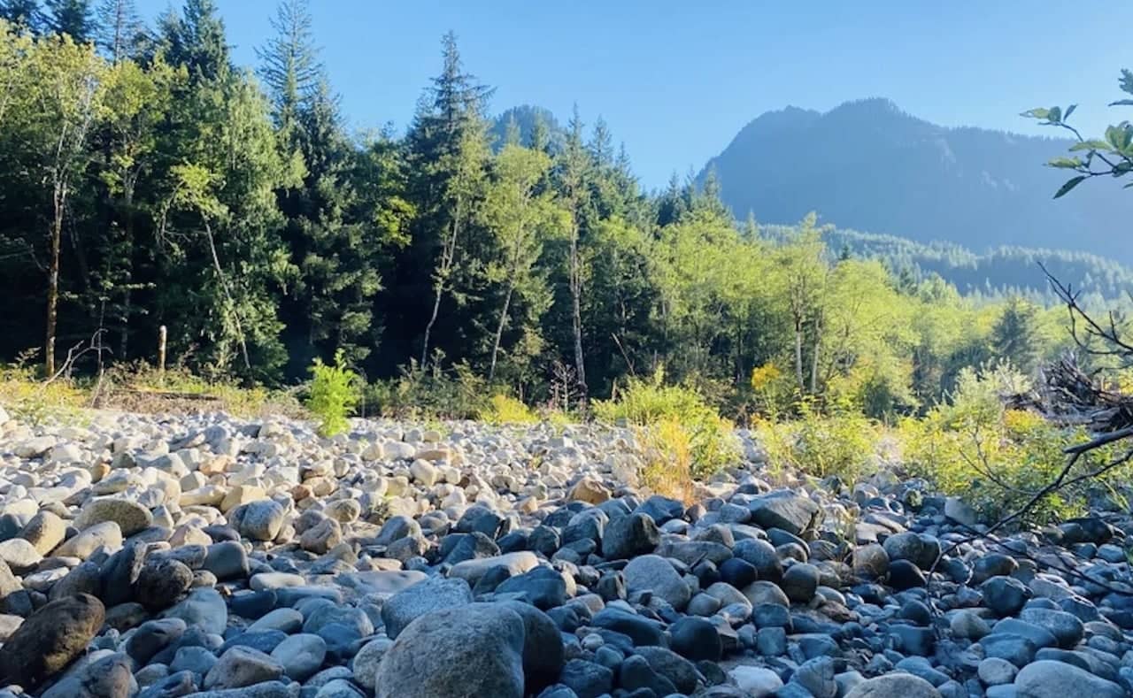 Best-RV-Campgrounds-in-Washington-10.jpg Dosewallips