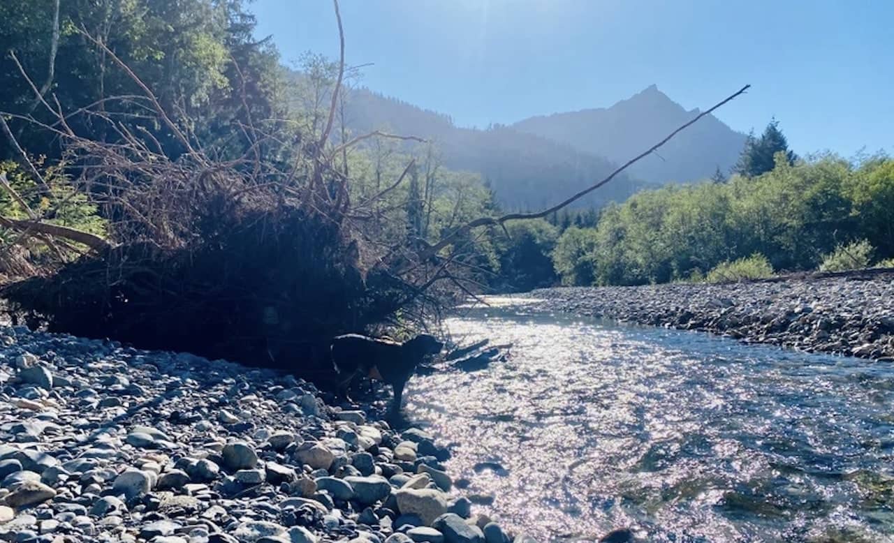 Best-RV-Campgrounds-in-Washington-9.jpg Tinkham Campground