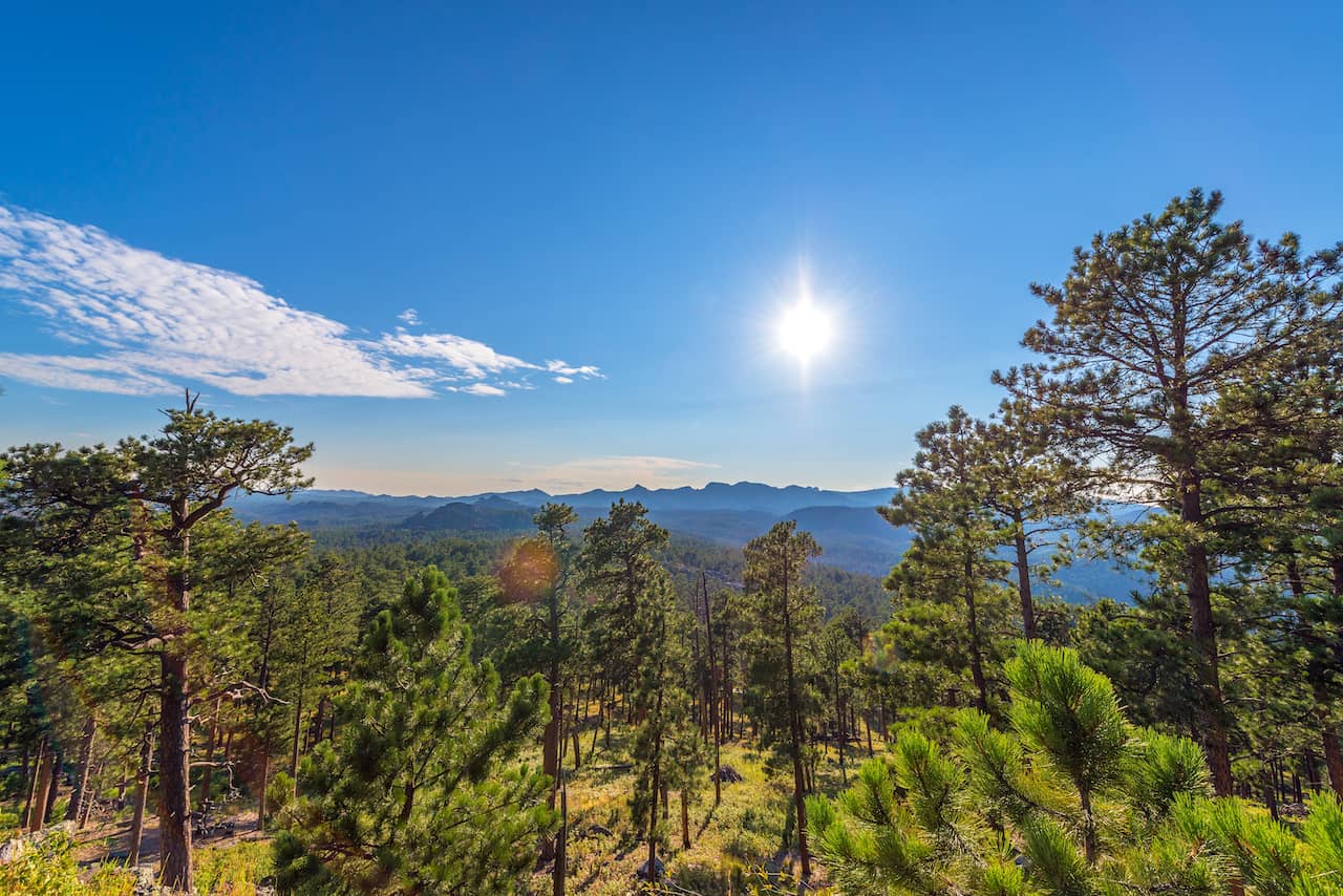 Custer-SD.jpg Custer-SD.jpg