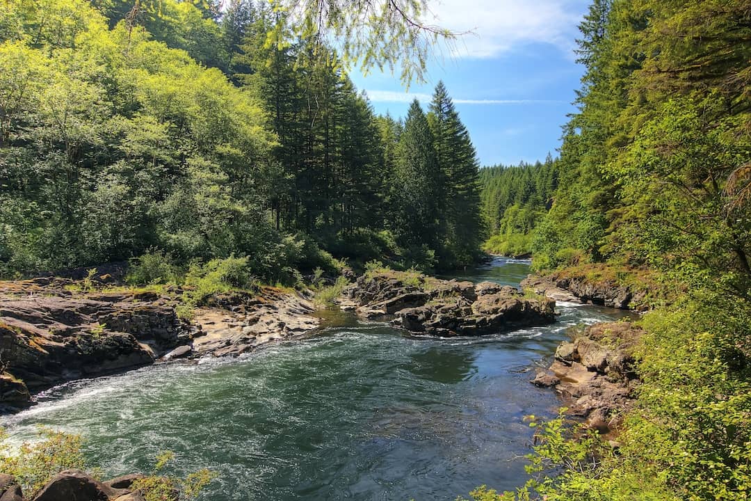 29-pines-campground.jpg 29-pines-campground.jpg