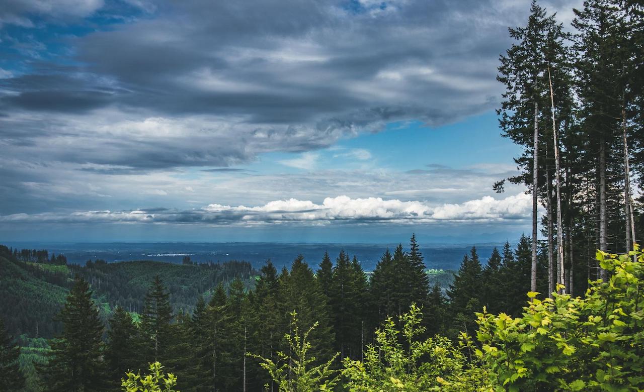 Boondocking-Sites-in-Washington-State-1.jpg Middle Waddell Campground and Trailhead