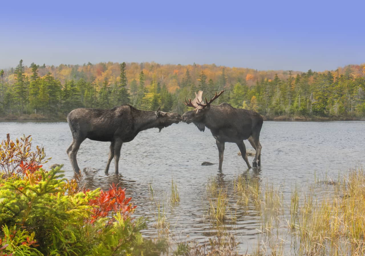 shutterstock_383957230.jpg shutterstock_383957230.jpg