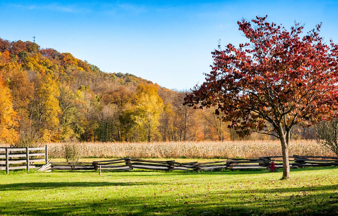 shutterstock_648139711.jpg shutterstock_648139711.jpg