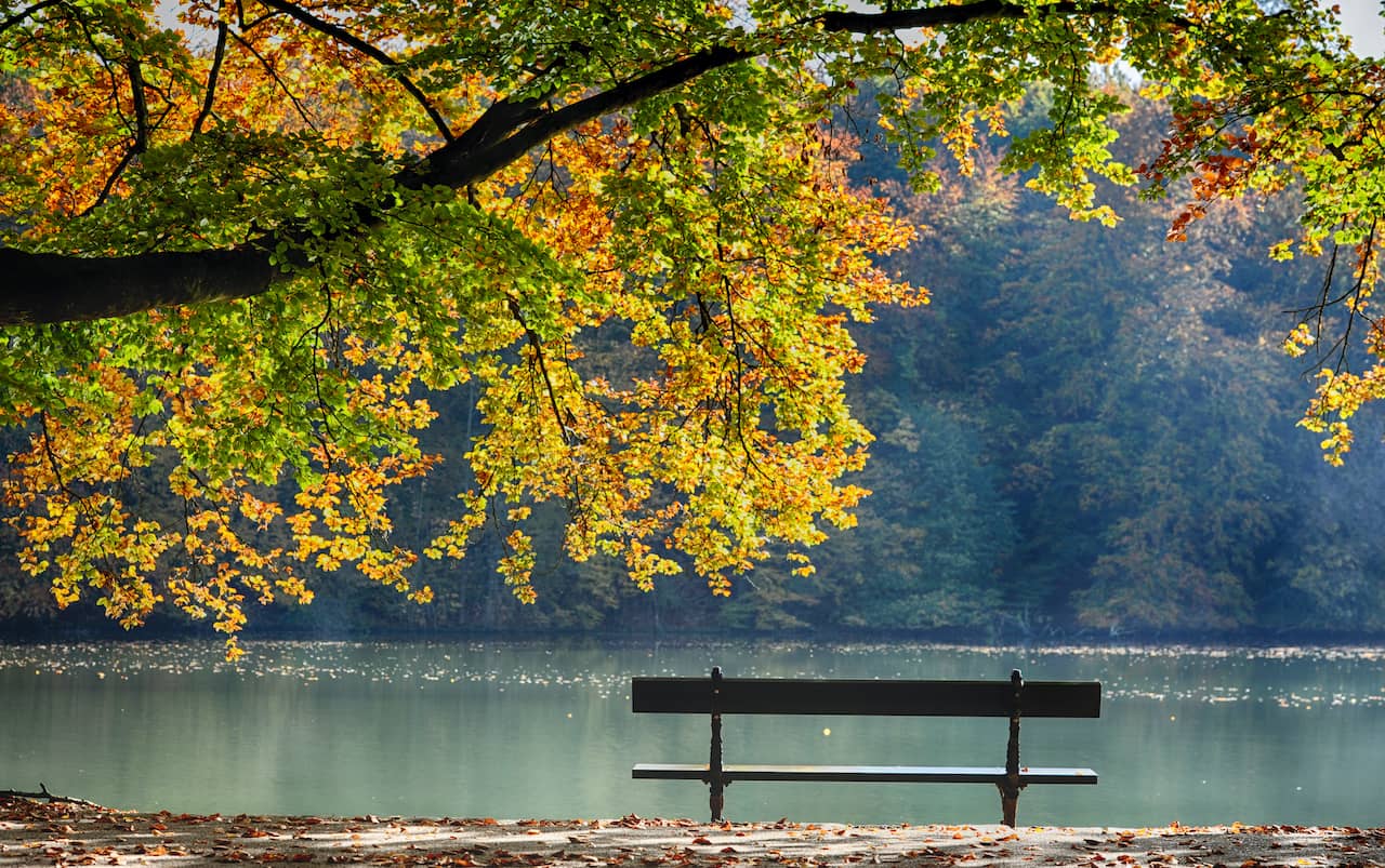 shutterstock_118375048.jpg shutterstock_118375048.jpg