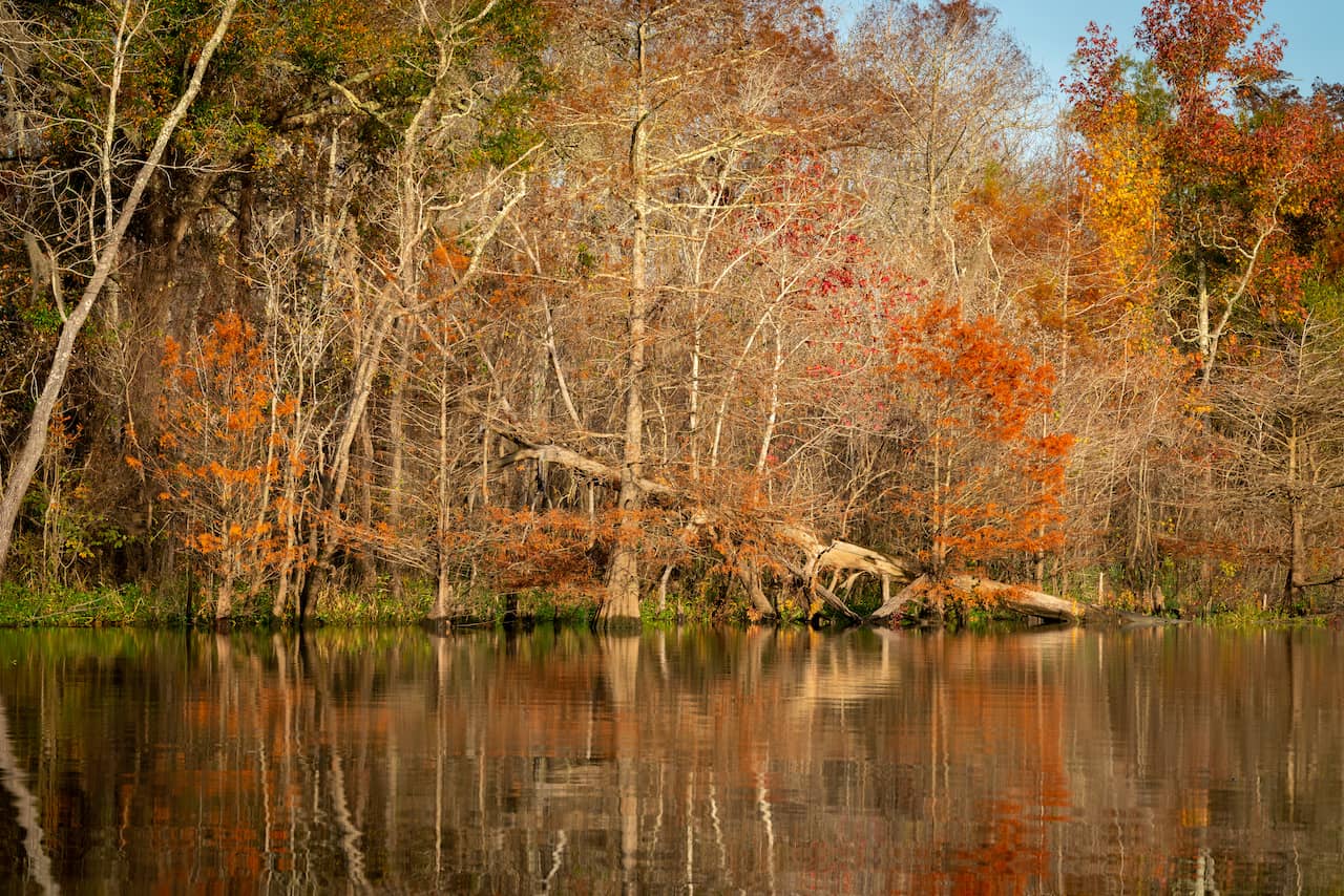 shutterstock_1252100092.jpg shutterstock_1252100092.jpg