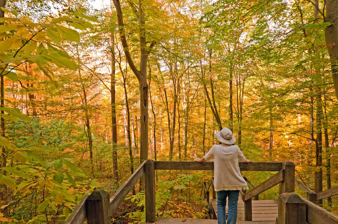 Charlestown-State-Park-rv-camping-4.jpg Charlestown-State-Park-rv-camping-4.jpg