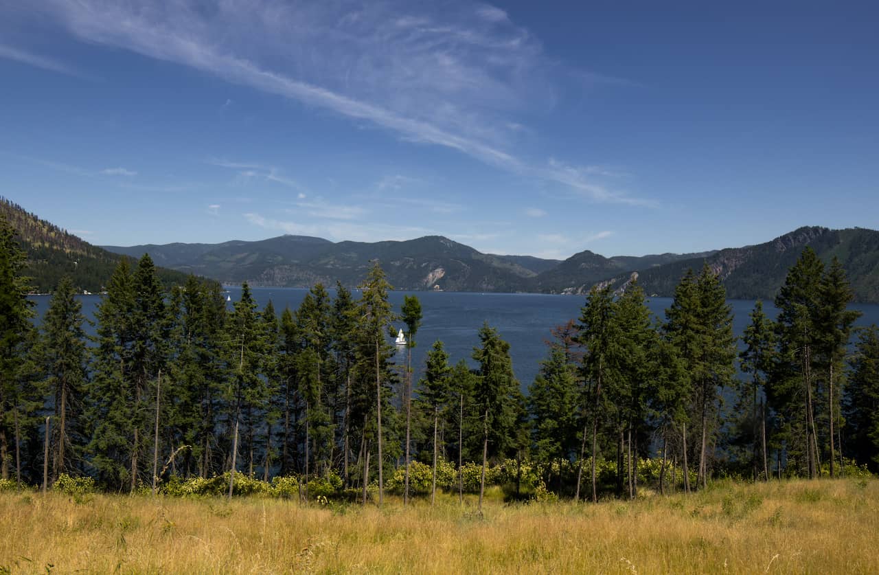 shutterstock_1128909878.jpg shutterstock_1128909878.jpg