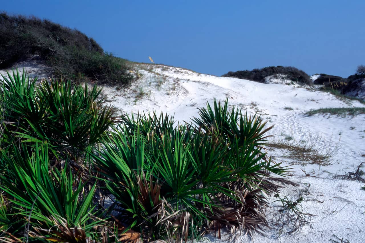 shutterstock_1279873780.jpg shutterstock_1279873780.jpg