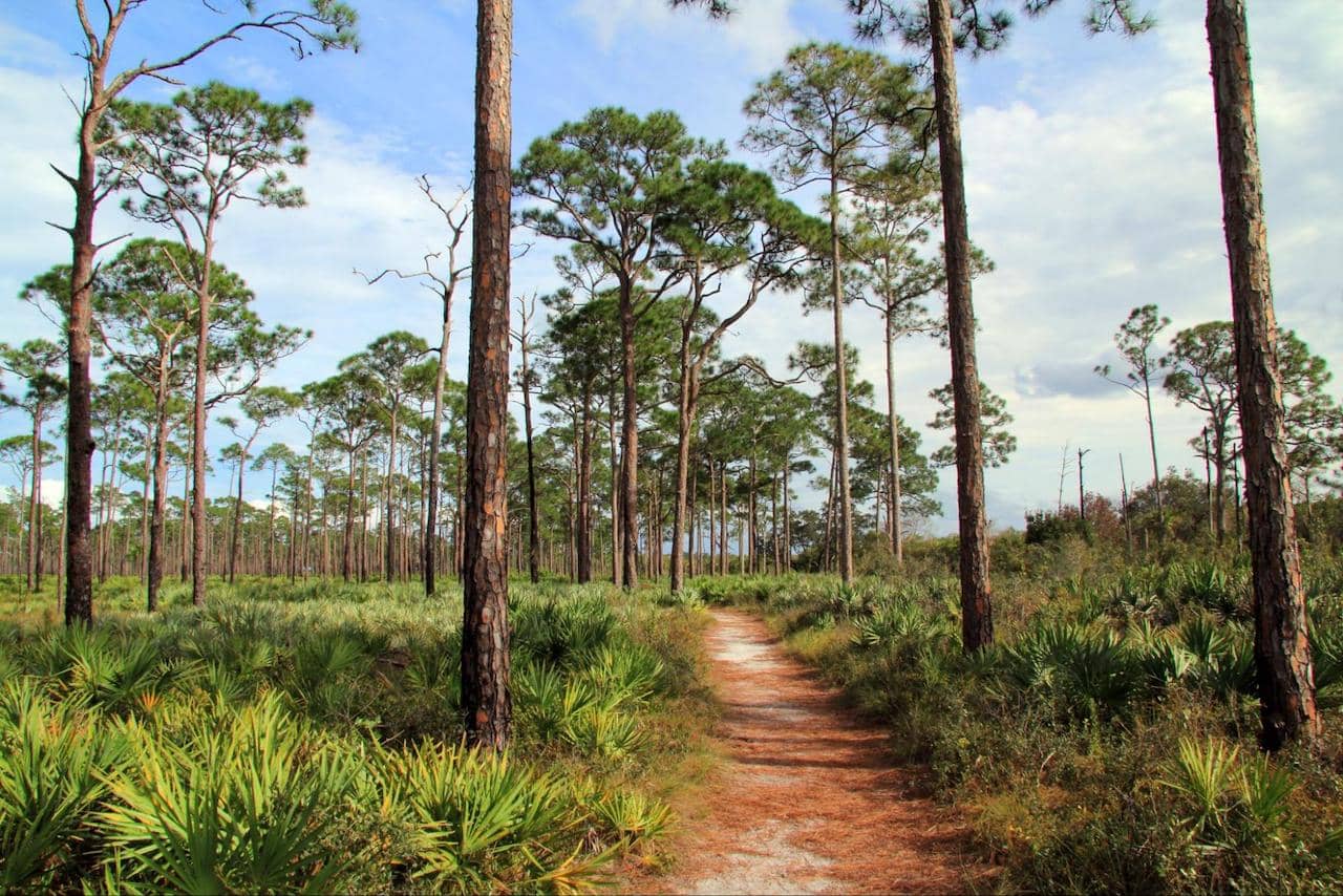 Jonathan-Dickinson-State-Park-rv-camping.jpg Jonathan-Dickinson-State-Park-rv-camping.jpg