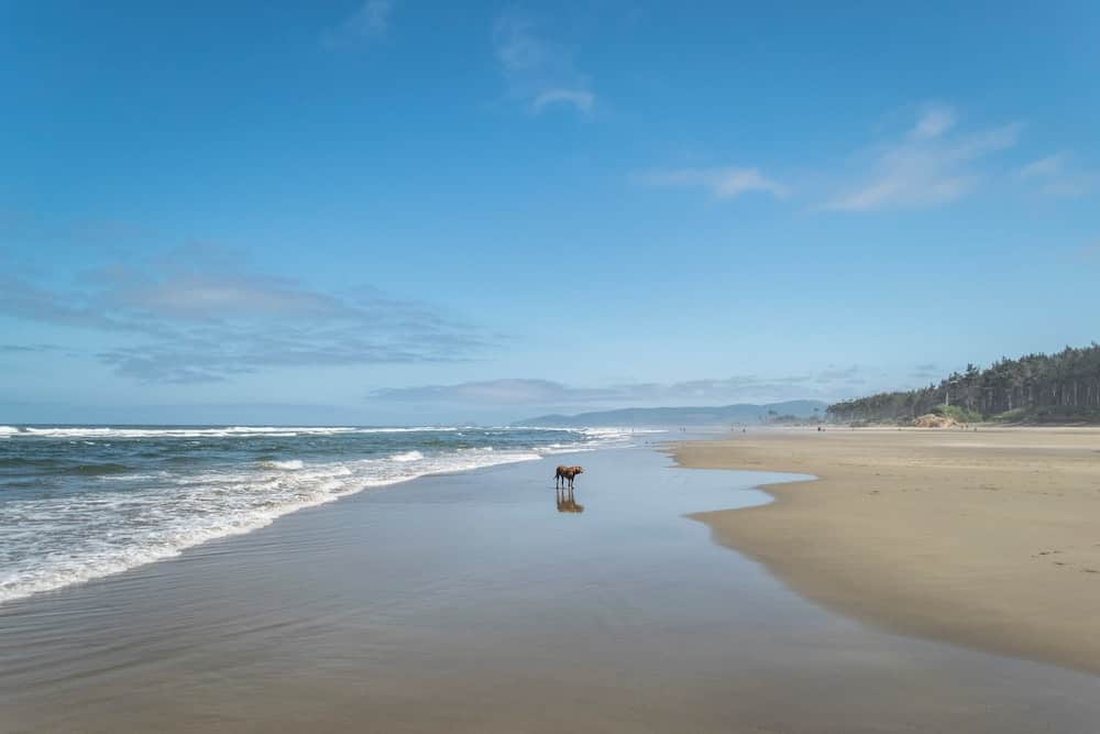 oregon-coast-rv-parks.jpg oregon-coast-rv-parks.jpg