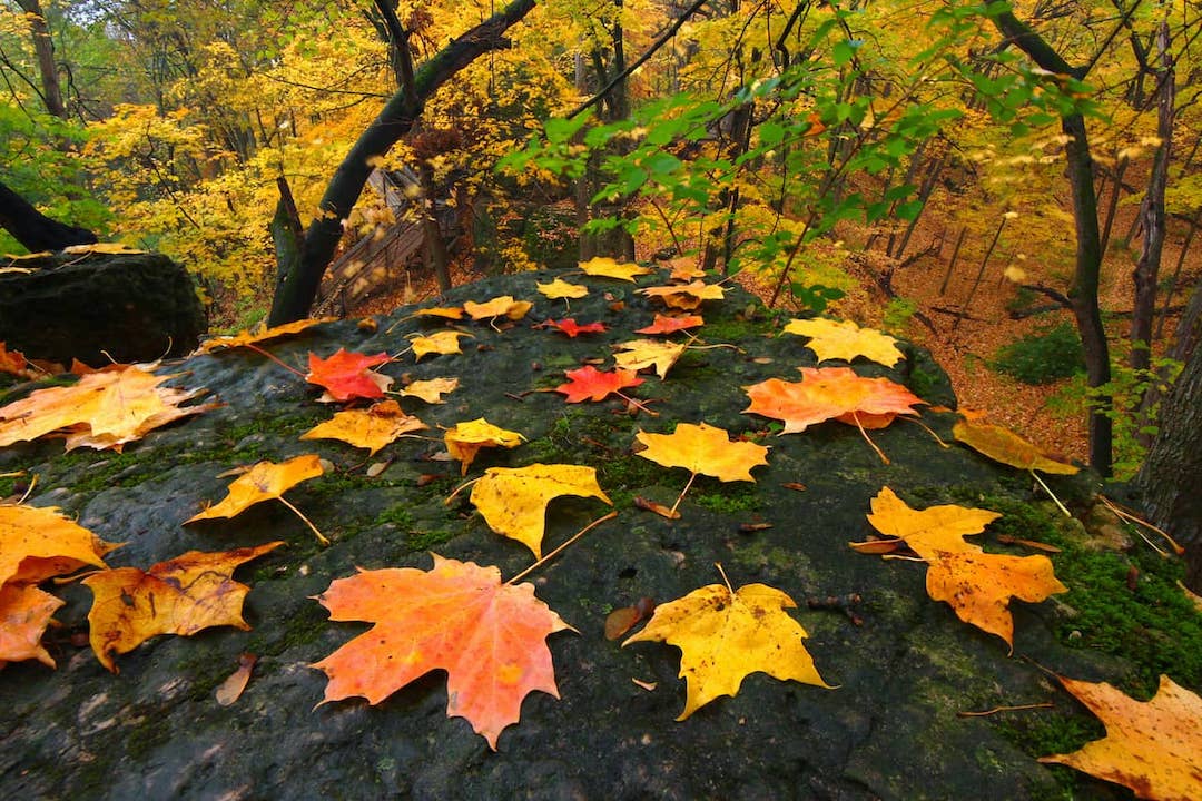 RV-Camping-Near-Rock-Cut-State-Park-3.jpg RV-Camping-Near-Rock-Cut-State-Park-3.jpg