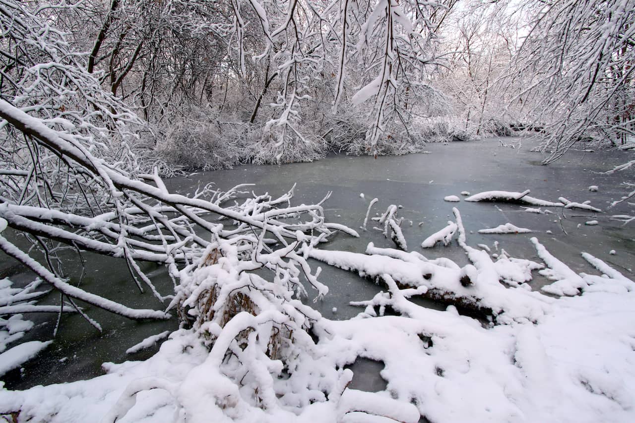 RV-Camping-Near-Rock-Cut-State-Park-4.jpg RV-Camping-Near-Rock-Cut-State-Park-4.jpg