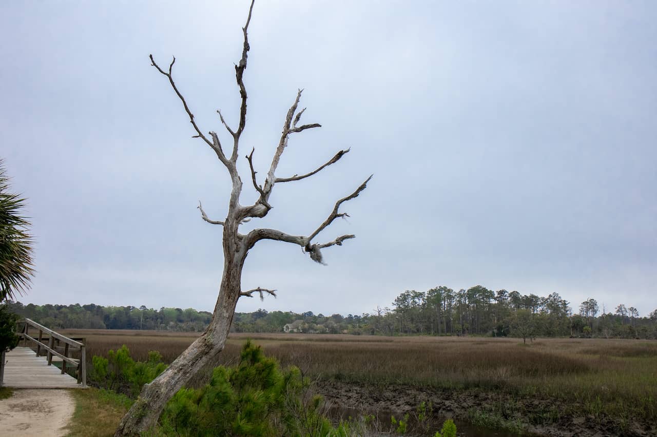 shutterstock_1682049655.jpg shutterstock_1682049655.jpg