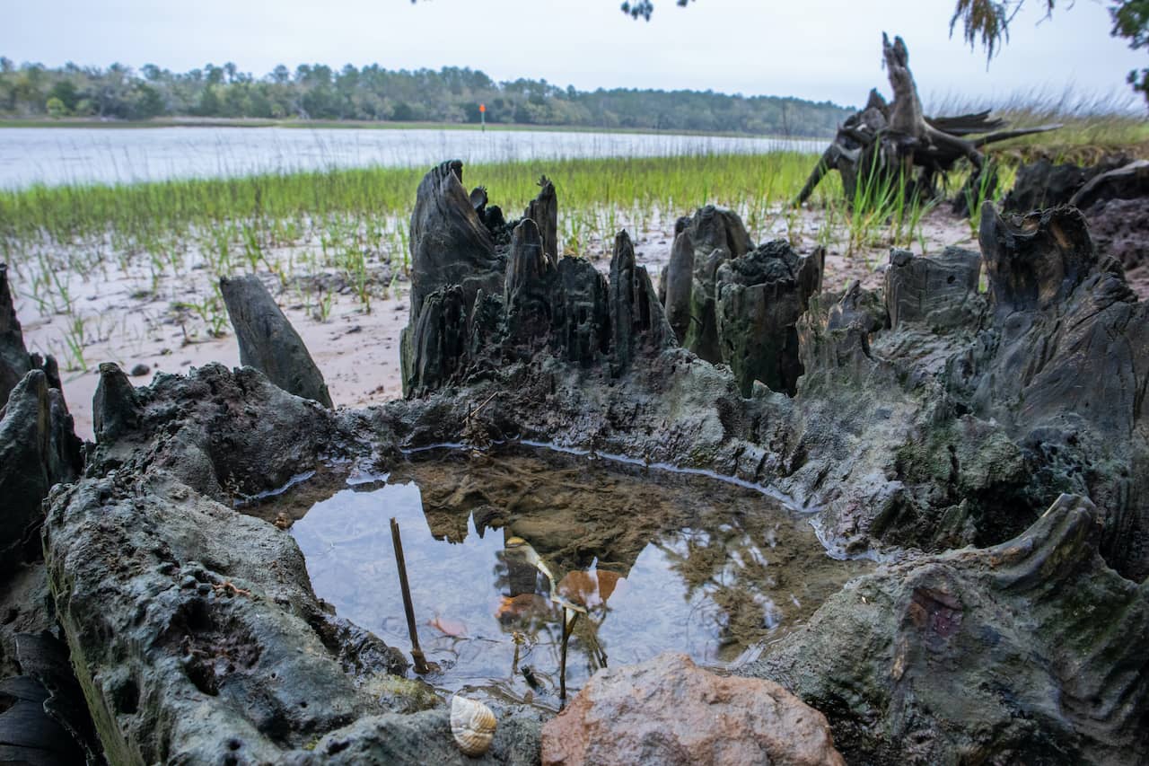 shutterstock_1682049682.jpg shutterstock_1682049682.jpg