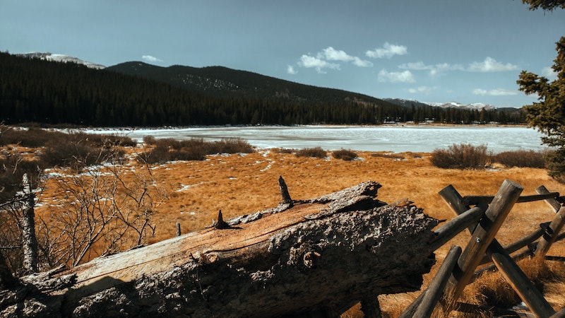 image5.jpg image5.jpg