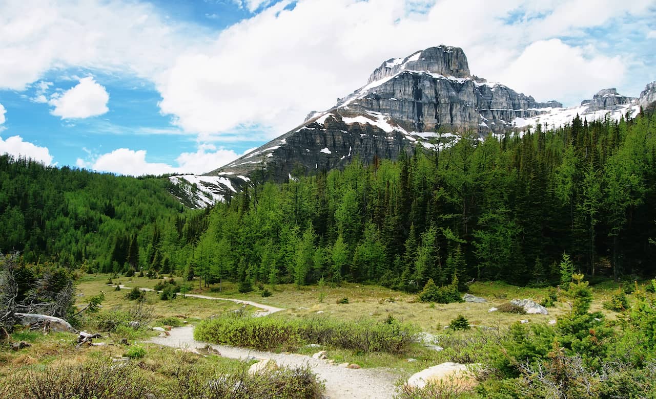 5 Stunning Alberta National Parks That Everyone Should See