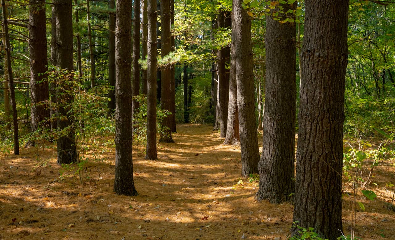 RV Camping Near Versailles State Park