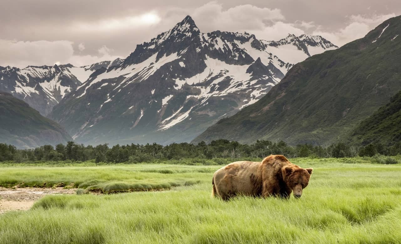 Touring 9 Alaska National Parks on Your Own